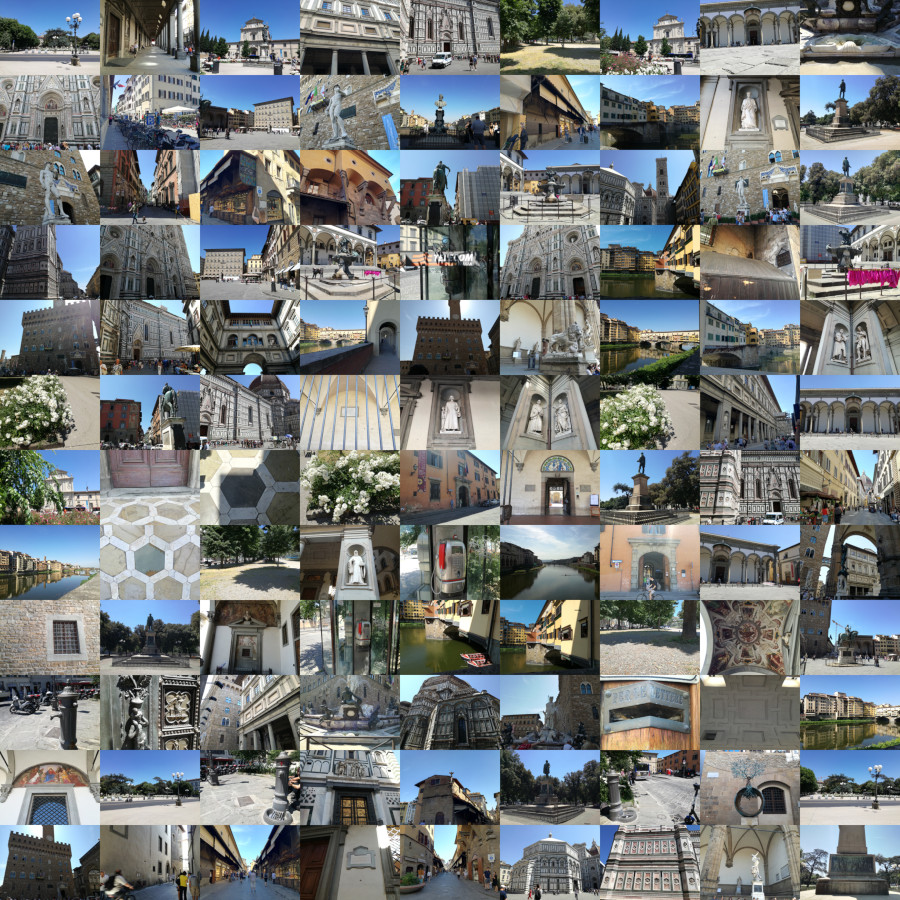 A collage of pictures contained in the FloreView dataset.